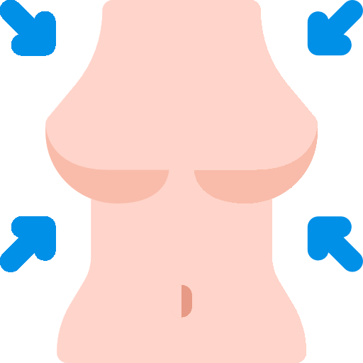 Reducción de Busto